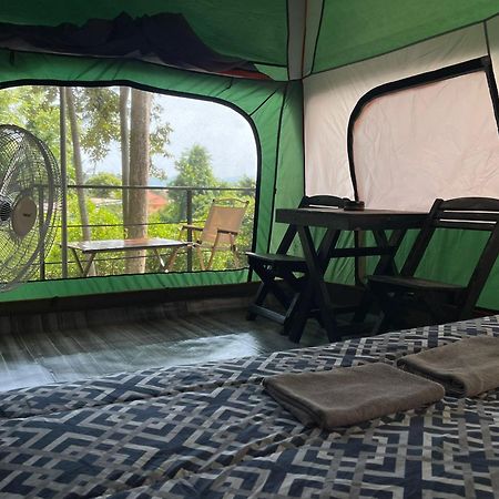 האד רין Joy Camping מראה חיצוני תמונה
