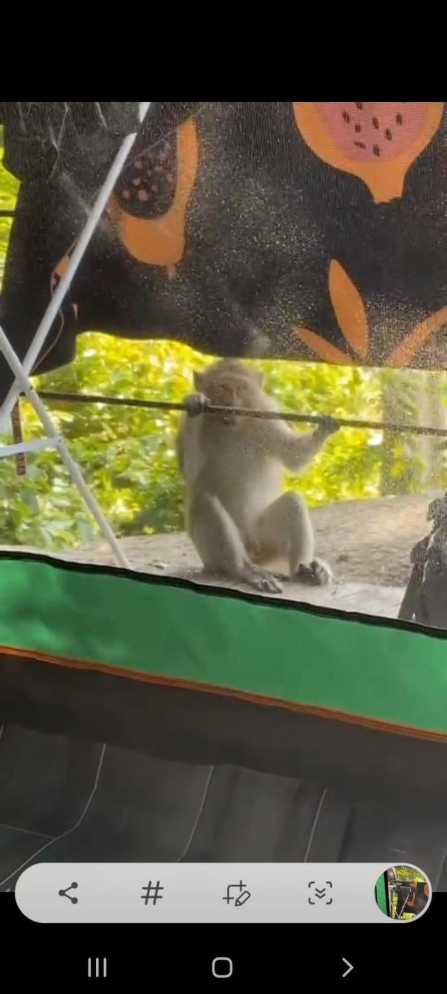 האד רין Joy Camping מראה חיצוני תמונה